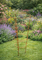Conical Garden Plant Support Cages Set of 2 - Metal Natural Rust Supports
