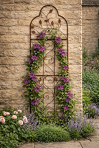 Garden Trellis Panel Vintage Rust Coating for Climbing Plants
