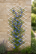 White Expandable Plastic Garden Trellis for Climbing Plants Vegetables and Flowers  - Adjustable Support Frame