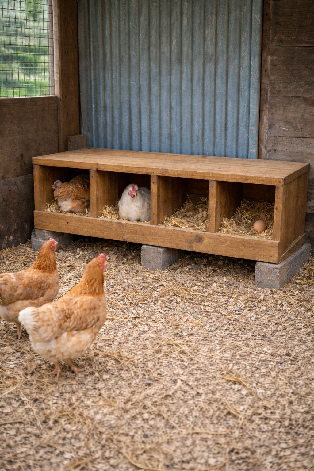 Handmade Wooden Hen Nest Boxes - Chicken Nesting Boxes for Poultry Coops & Sheds