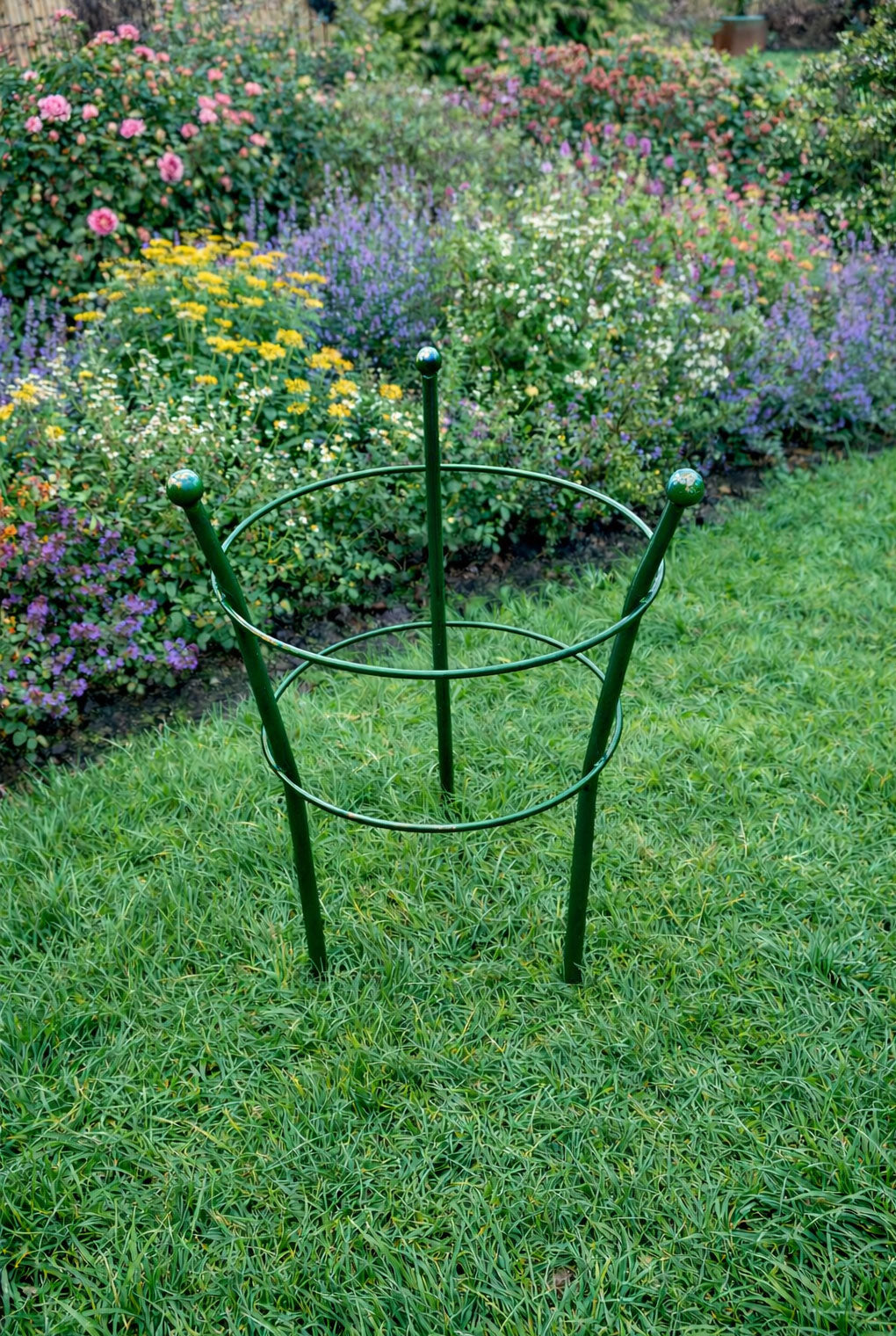 Plant Support Flower Ring – Green Steel Support for Peonies and Flowers