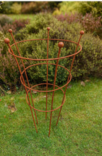 Rust Finish Herbaceous Peony Support – Metal Plant Ring for Perennials