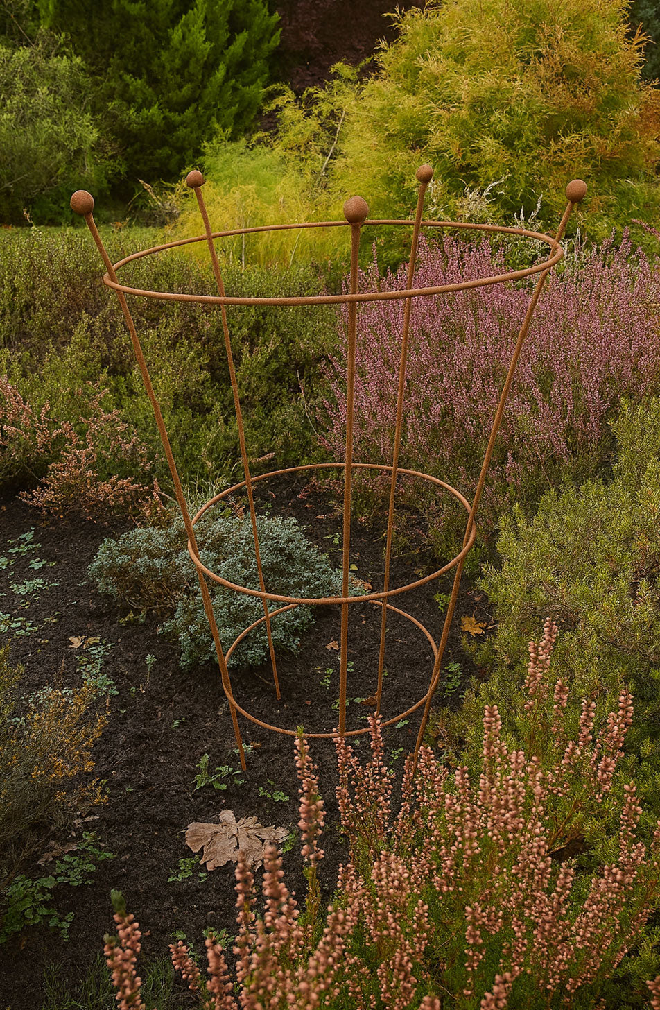 Rust Finish Herbaceous Peony Support – Metal Plant Ring for Perennials