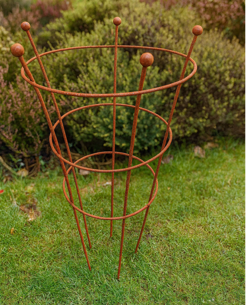 Rust Finish Herbaceous Peony Support – Metal Plant Ring for Perennials