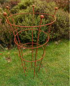 Rust Finish Herbaceous Peony Support – Metal Plant Ring for Perennials