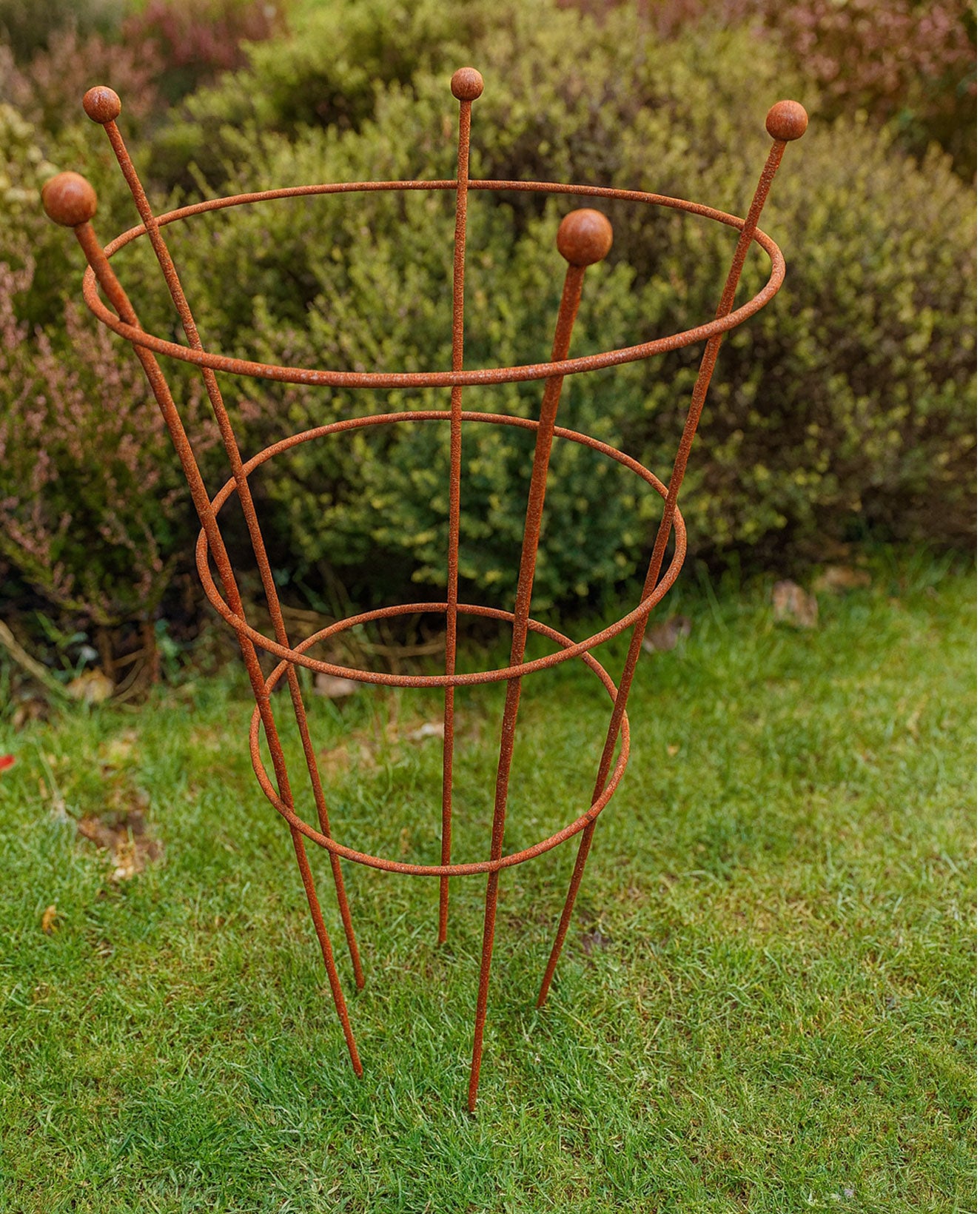 Rust Finish Herbaceous Peony Support – Metal Plant Ring for Perennials