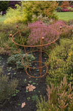 Rust Finish Herbaceous Peony Support – Metal Plant Ring for Perennials