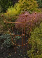 Rust Finish Herbaceous Peony Support – Metal Plant Ring for Perennials
