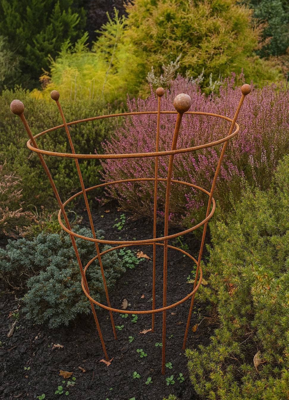 Rust Finish Herbaceous Peony Support – Metal Plant Ring for Perennials