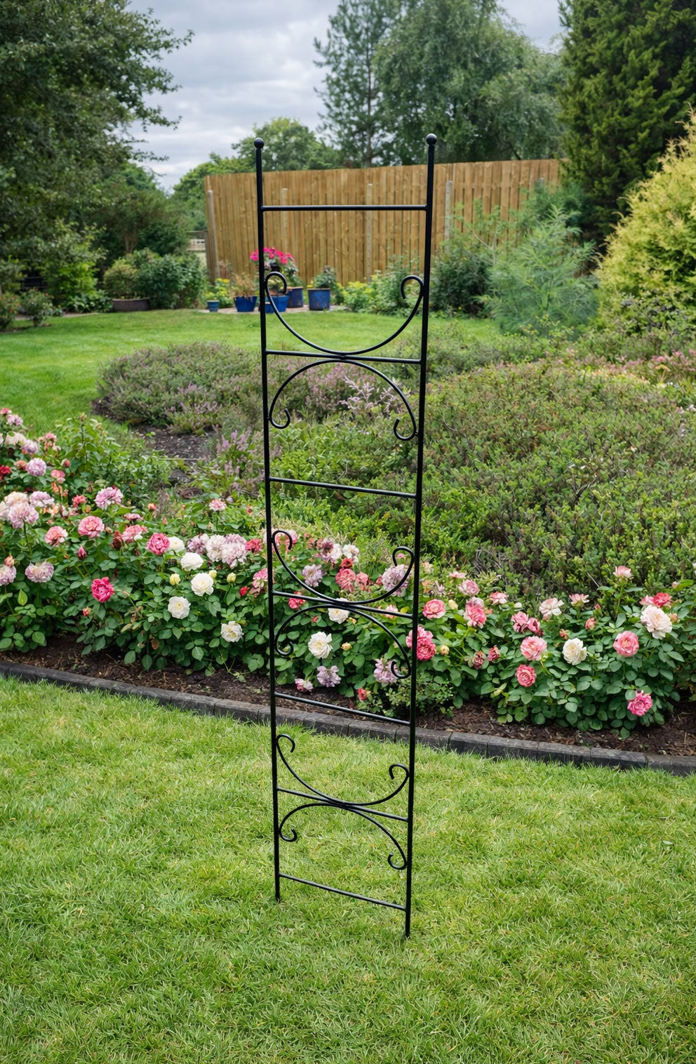 Metal Trellis Plant Support - Ideal for Pots & Planters