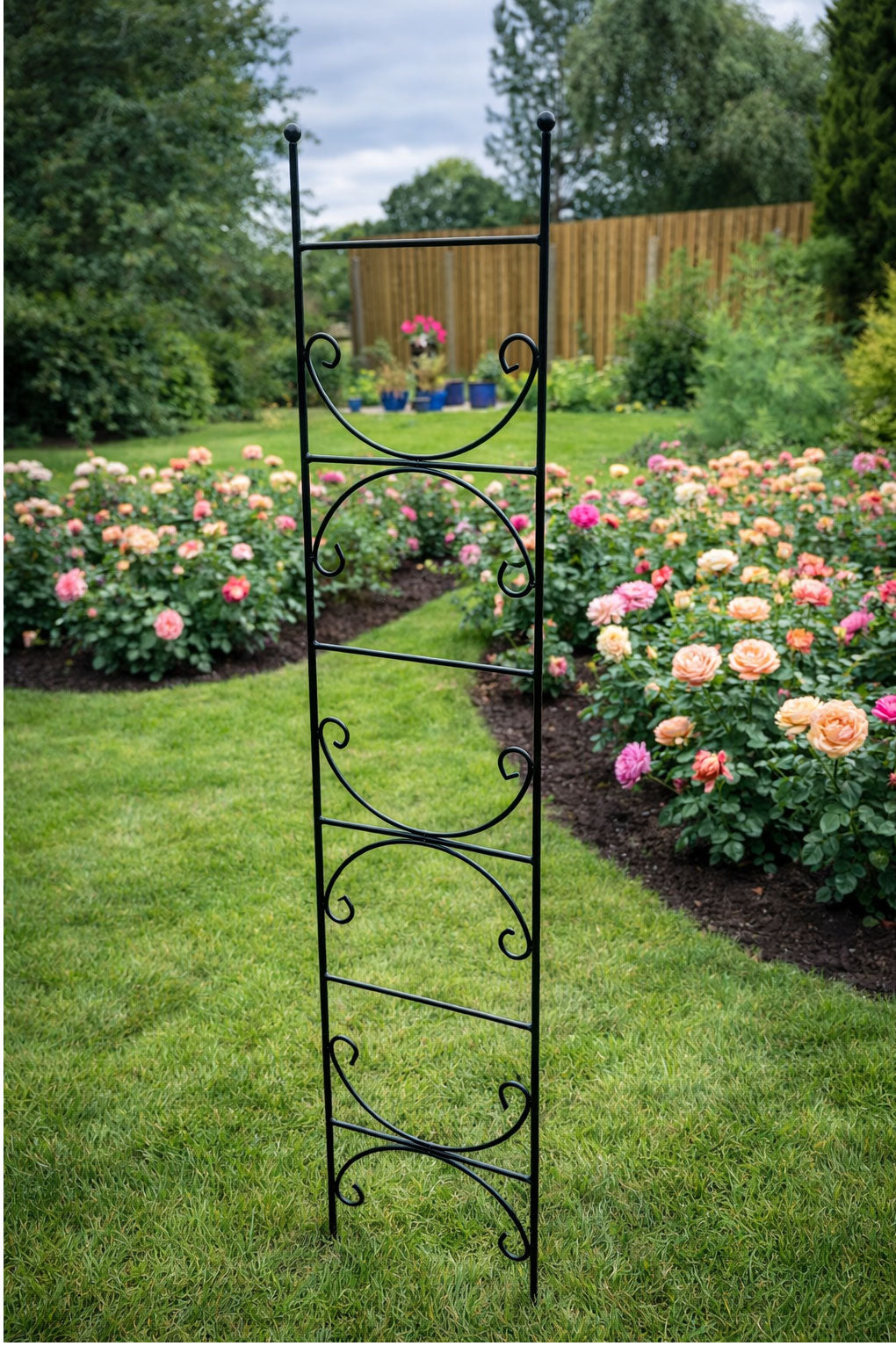 Metal Trellis Plant Support - Ideal for Pots & Planters