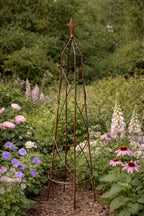 Handcrafted Steel Climbing Plant Support Obelisks - Available in 3 Sizes