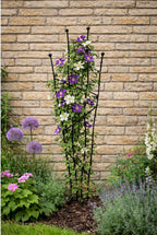 Metal Garden Trellis for Climbing Plants - Strong Steel Wall Support - Black or Rust