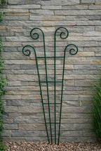 Green Metal Garden Trellis with Scrolled Detail - Sturdy Steel Plant Support for Climbing Plants and Containers