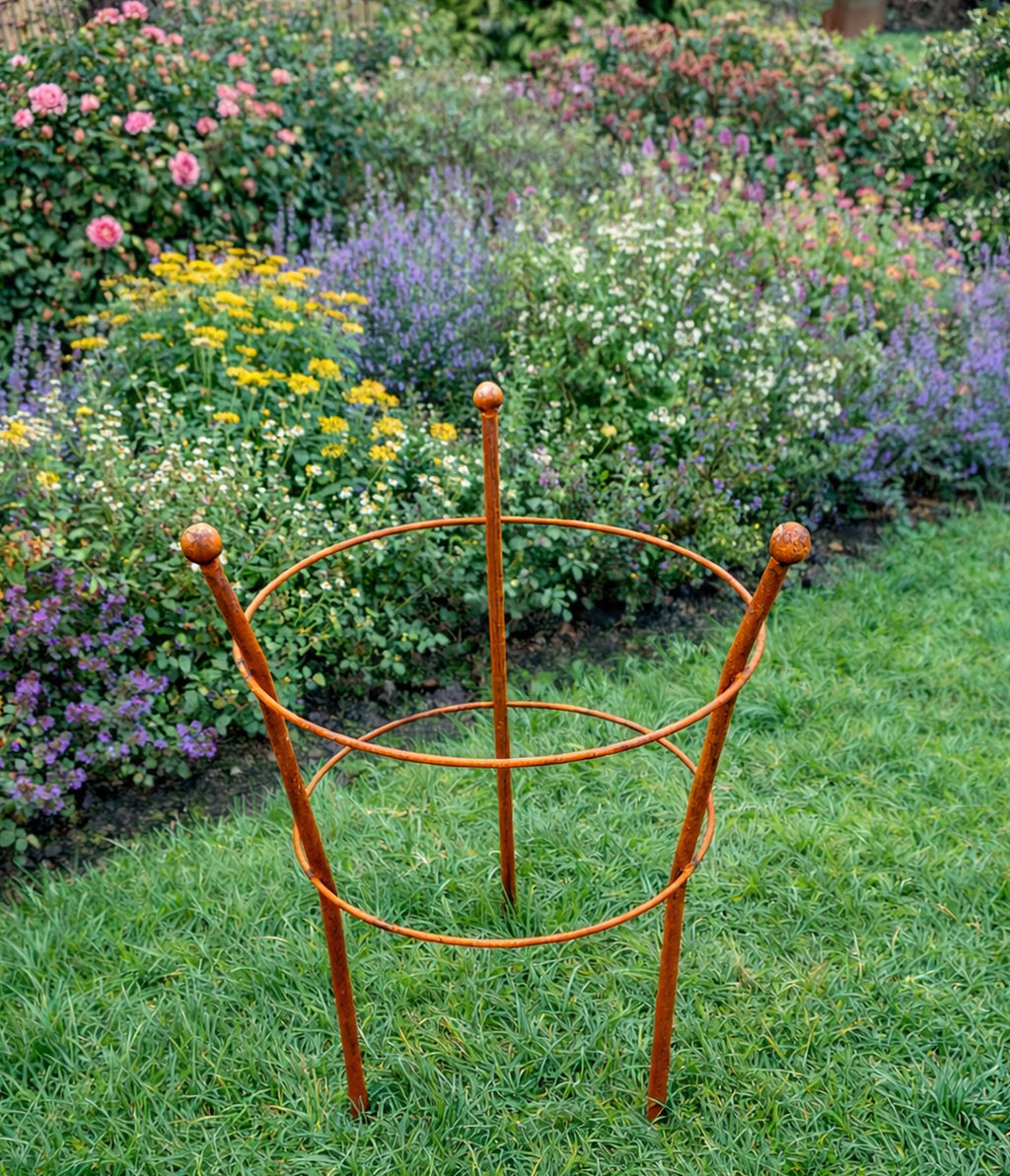 Perennial Plant Support - Rust Steel Peony Support for Gardens
