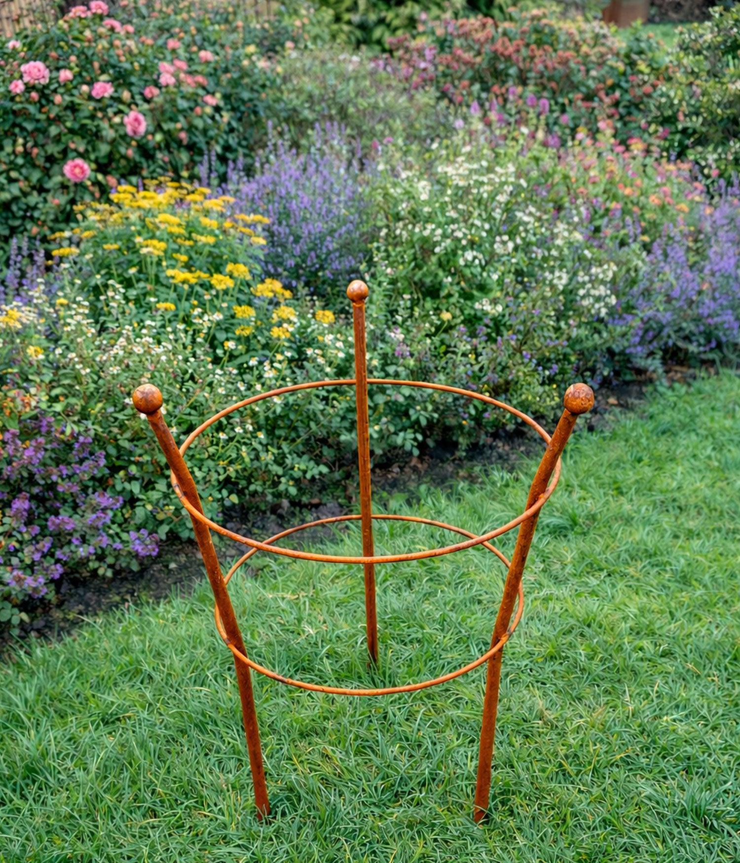 Perennial Plant Support - Rust Steel Peony Support for Gardens