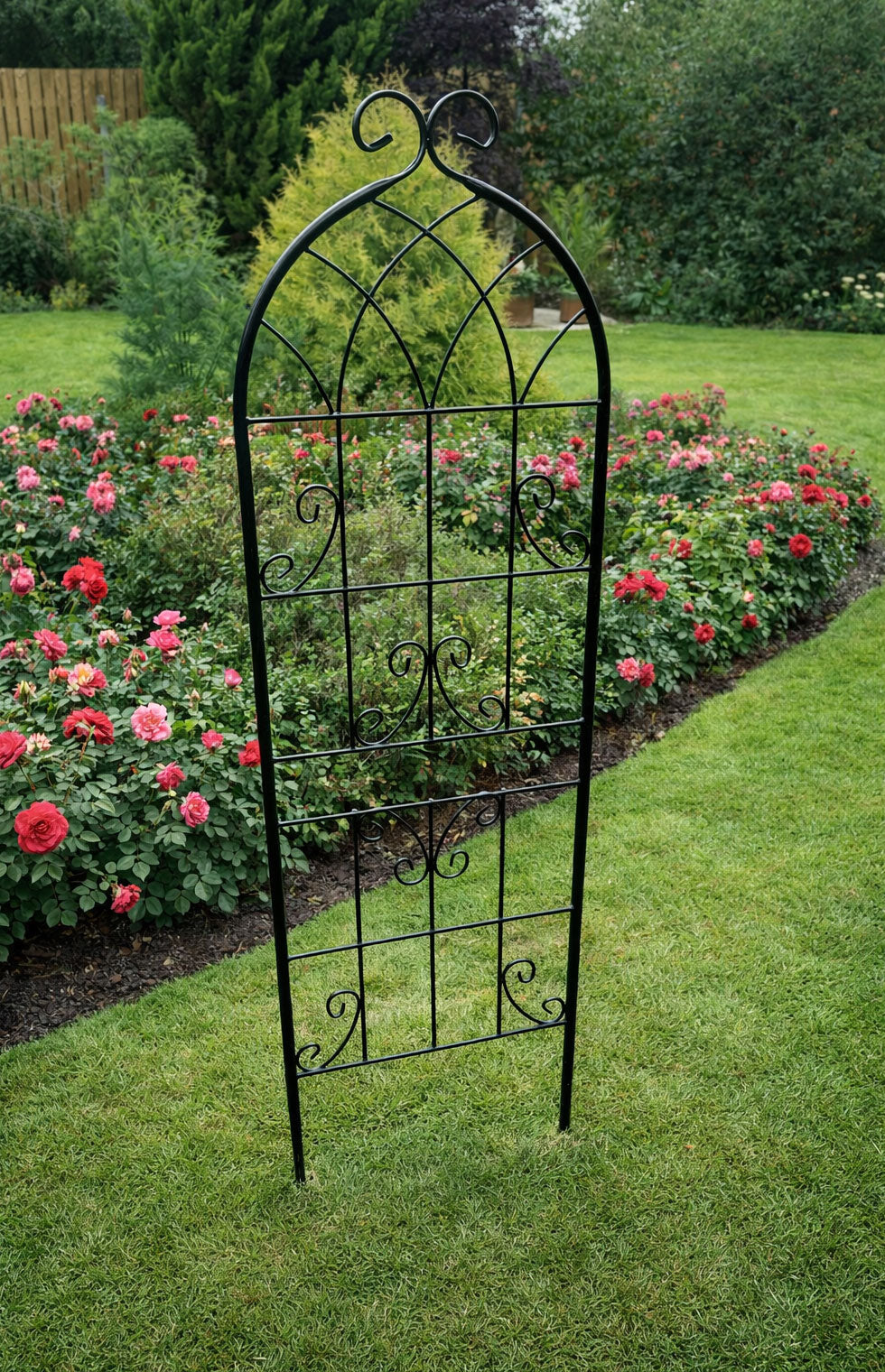 Steel Garden Wall Trellis for Supporting Climbing Plants