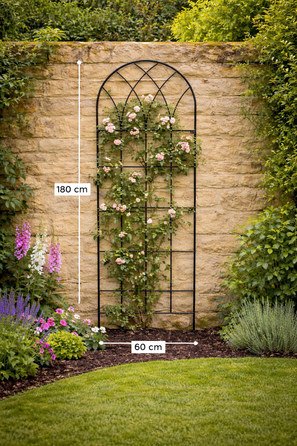 Tall Metal Garden Trellises for Climbing Plants - Wall Mounted Plant Supports