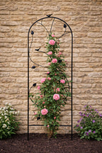 Decorative Metal Garden Trellis for Climbing Plants - Outdoor Wall Support