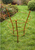 Perennial Plant Support - Rust Steel Peony Support for Gardens