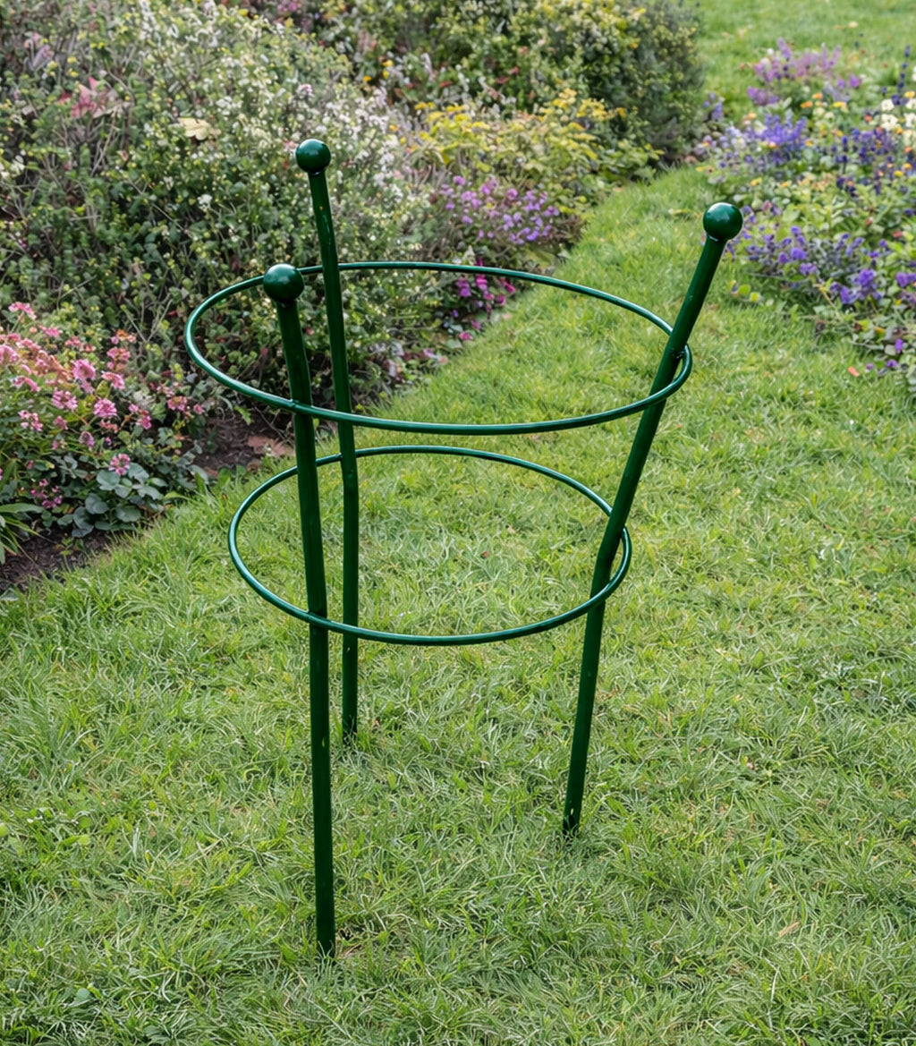 Plant Support Flower Ring – Green Steel Support for Peonies and Flowers