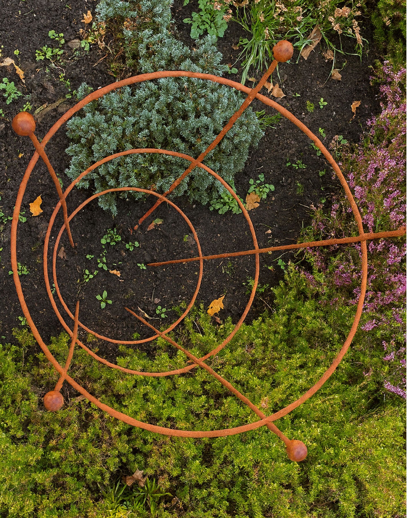 Rust Finish Herbaceous Peony Support – Metal Plant Ring for Perennials