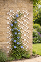 White Expandable Plastic Garden Trellis for Climbing Plants Vegetables and Flowers  - Adjustable Support Frame