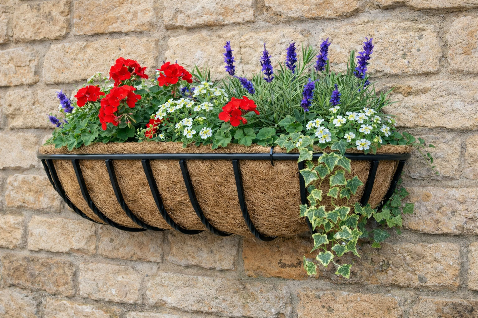 Twin Pack Wall Trough Planters for Patio and Garden Walls - Medium Wall Mounted Outdoor Plant Containers