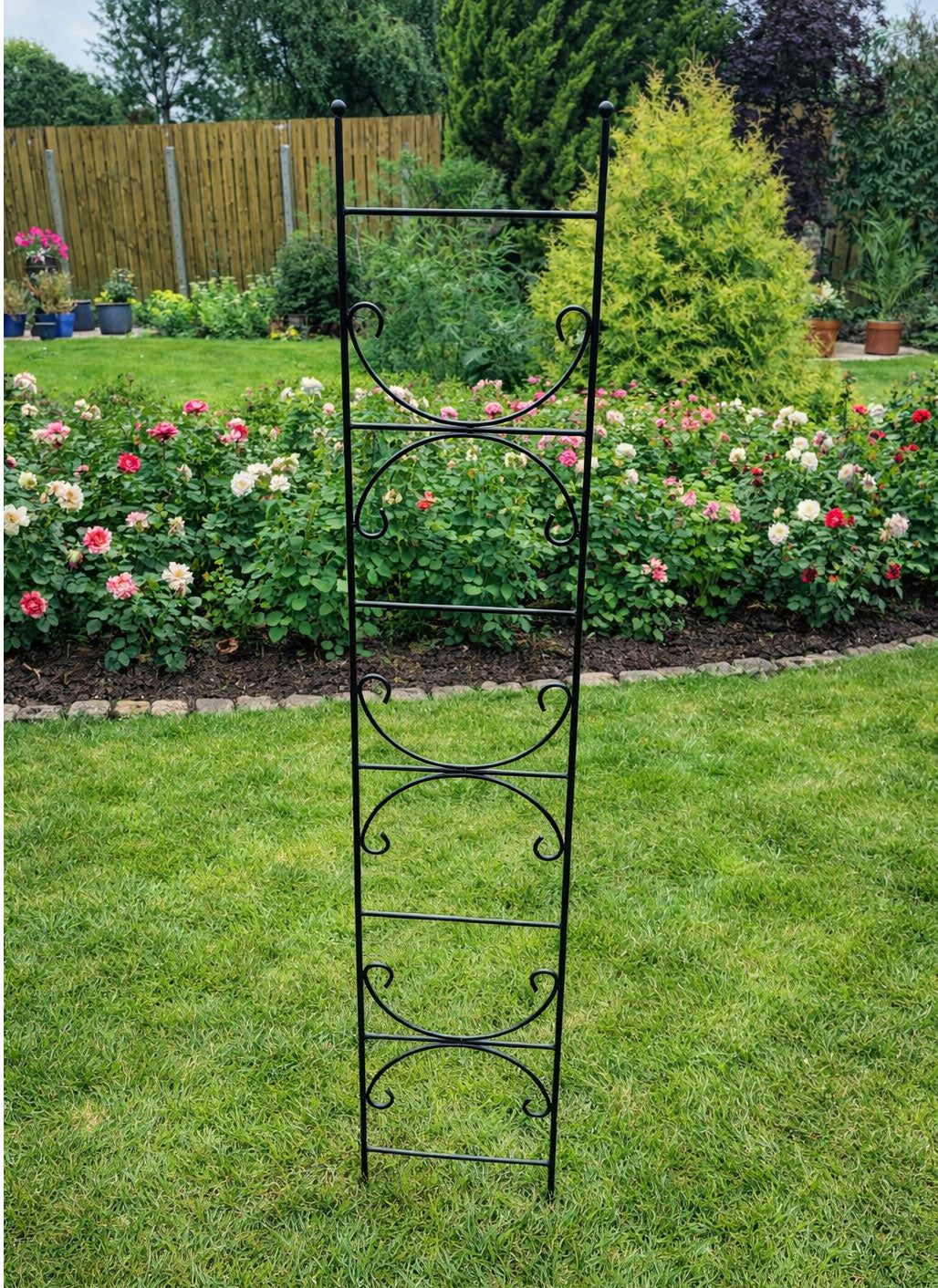 Metal Trellis Plant Support - Ideal for Pots & Planters