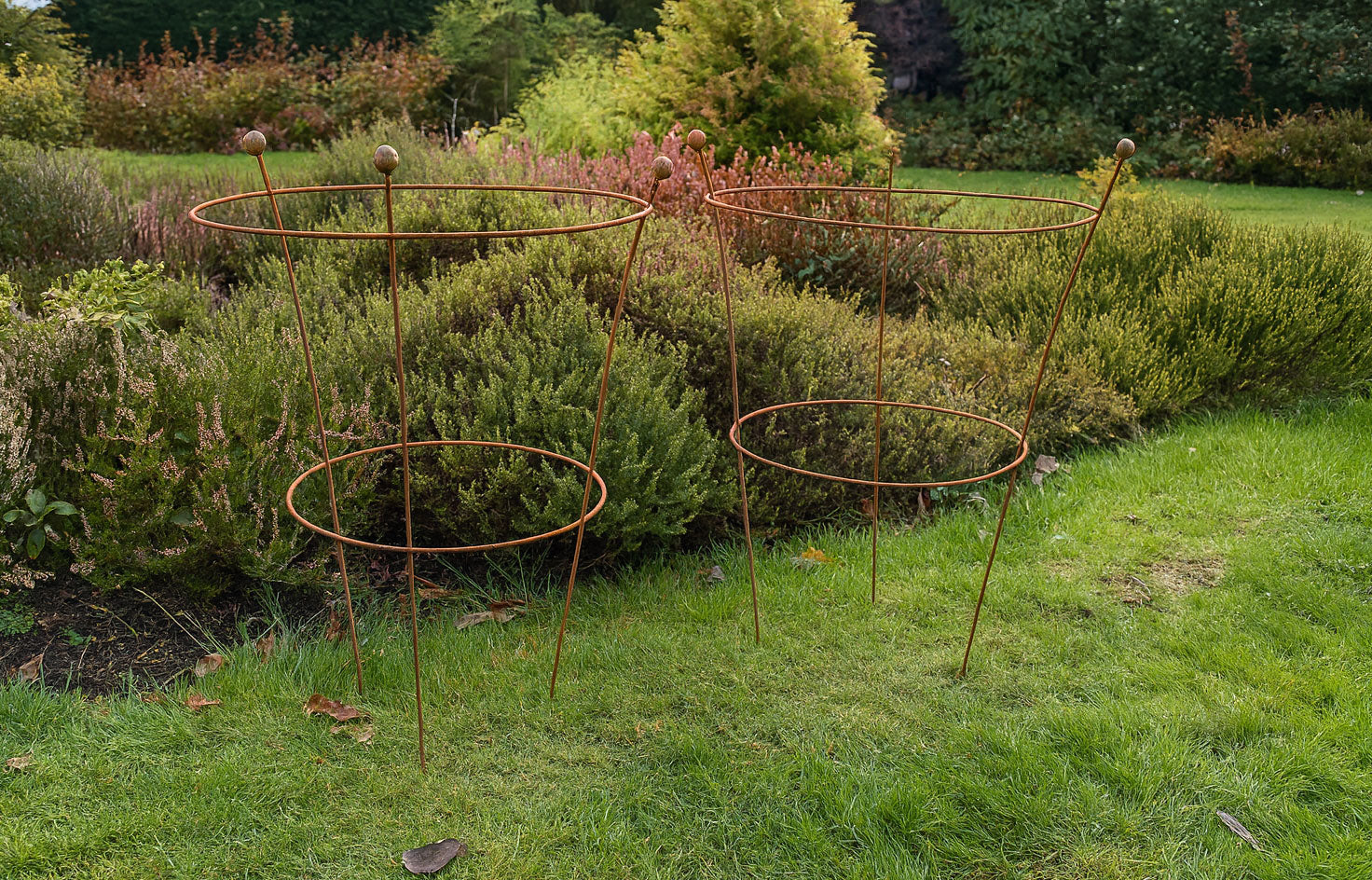 Peony Conical Support Ring Grow Through Perennial Plant Holders Pack of 2