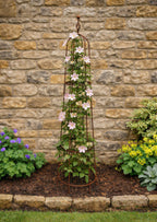 Garden Obelisk for Climbing Plants & Roses - Rustic Solid Steel Plant Support